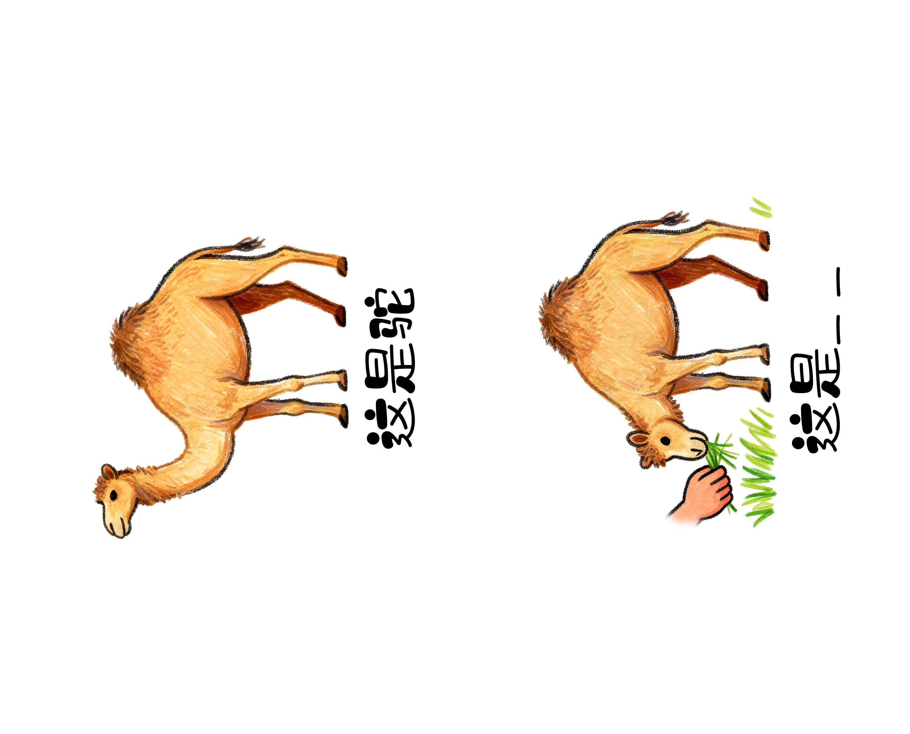 J9国际站备用【唯一】官方网站